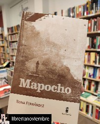 Mapocho, febrero 2021