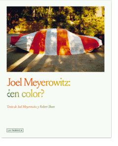 JOEL MEYEROWITZ:EN COLOR?