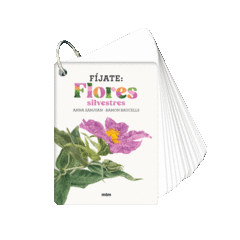 F�JATE: FLORES SILVESTRES
