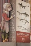 LA MAYORA DE LOS TIBURONES SON PEQUEOS