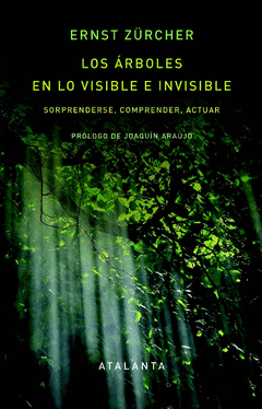 LOS RBOLES EN LO VISIBLE E INVISIBLE