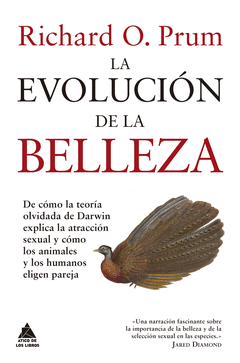 LA EVOLUCIN DE LA BELLEZA