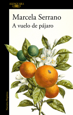 A VUELO DE P�JARO