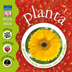 PLANTA MIRA MIRA