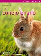 EL CONEJO ENANO SERIE PREMIUN