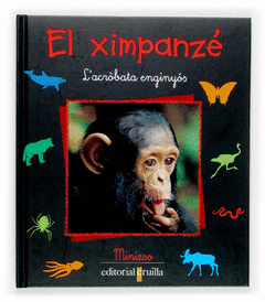 EL XIMPANZE
