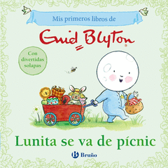 MIS PRIMEROS LIBROS DE ENID BLYTON.LUNITA SE VA DE PCNIC