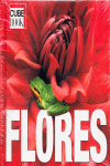 FLORES CUBE BOOK