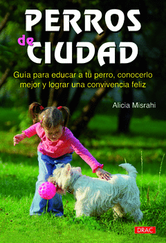 PERROS DE CIUDAD