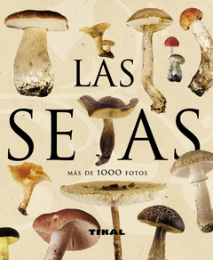 LAS SETAS. MAS DE 1000 FOTOS