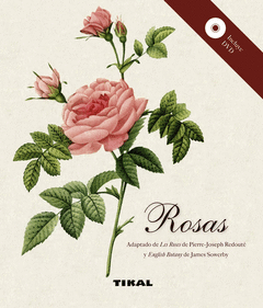 ROSAS REF 264002  + DVD