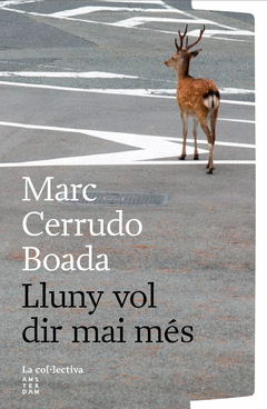LLUNY VOL DIR MAI MES