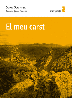 EL MEU CARST